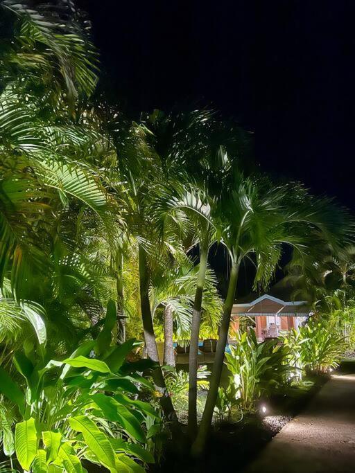 Villa Colada Residence Arcadia แซงต์-ฟรองซัวส์ ภายนอก รูปภาพ