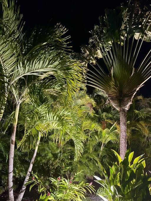 Villa Colada Residence Arcadia แซงต์-ฟรองซัวส์ ภายนอก รูปภาพ