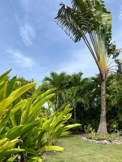 Villa Colada Residence Arcadia แซงต์-ฟรองซัวส์ ภายนอก รูปภาพ